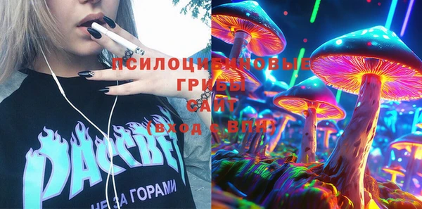 мдпв Абинск