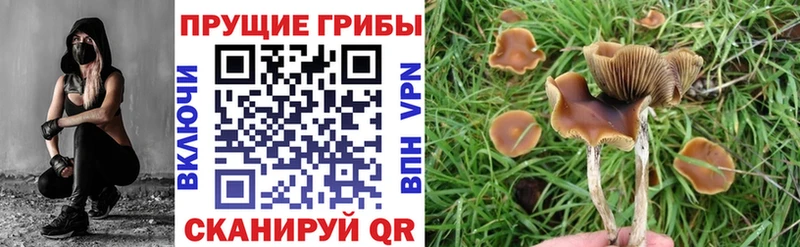 Галлюциногенные грибы MAGIC MUSHROOMS  Бобров 